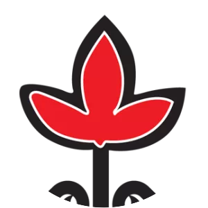 Human Rights Association - Turkey