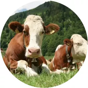 Humane Farm Animal Care