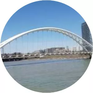 Humber Bay Arch Bridge