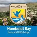Humboldt Bay National Wildlife Refuge - 