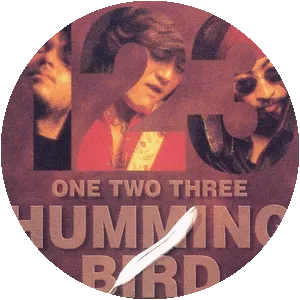 Humming Bird photograph