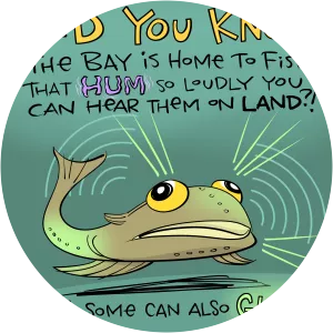 Humming Fish - 
