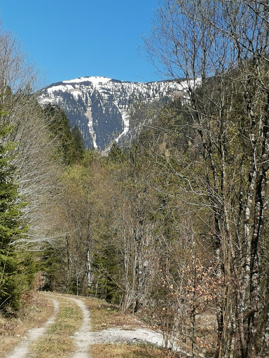 Hundepension Landl - Dog day care center in Thiersee, Austria