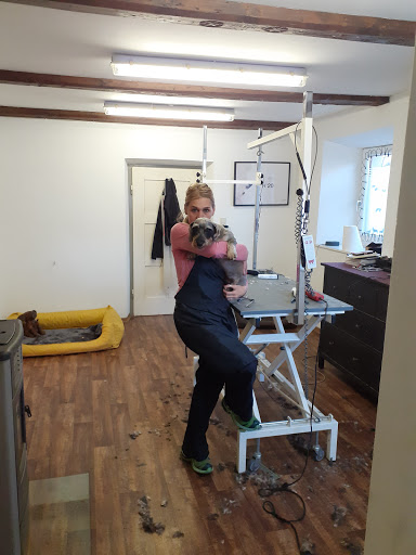 Hundesalon Melanie - Pet groomer in Telfs, Austria