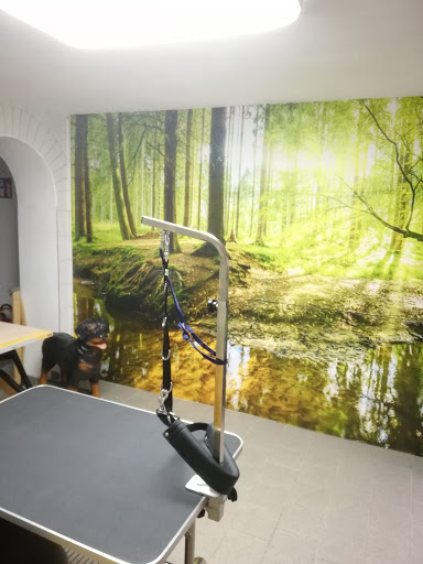 Hundesalon Tierlieb - Pet groomer in Brixlegg, Austria