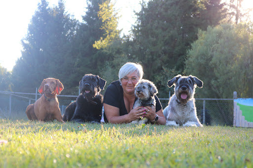 Hundeschule Askom - Dog trainer in Reichersbeuern, Germany