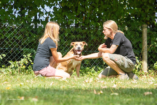 Hundetraining Dog's 1st Choice - Dog trainer in Gmund am Tegernsee, Germany