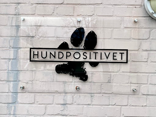 Hundpositivet