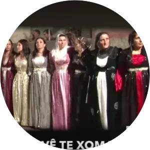 Hunermend Dilyar - Musical artist