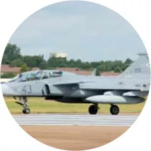 Hungarian Air Force - Air force branch