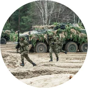 Hungarian Ground Forces - Troop