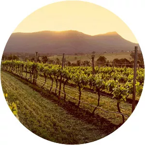 Hunter Valley wine - 