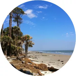 Hunting Island State Park - Island in South Carolina