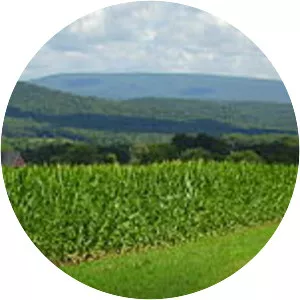 Huntingdon County - County in Pennsylvania