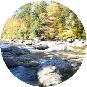 Huntley Mountain Formation - 