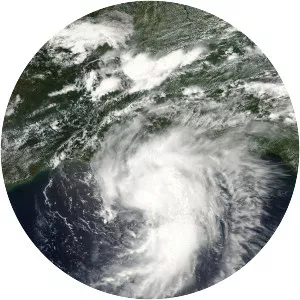 Hurricane Cindy