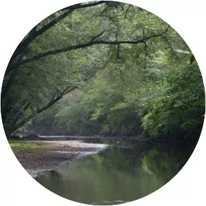 Hurricane Creek - Tributary in Alabama