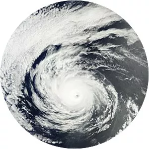 Hurricane Darby - 2016 tropical cyclone