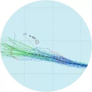 Hurricane Erick - 2013 hurricane