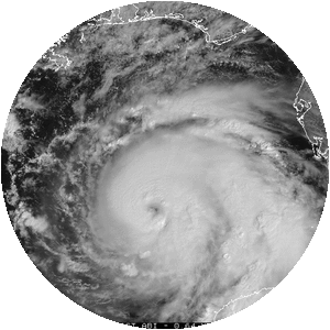 Hurricane Michael - 