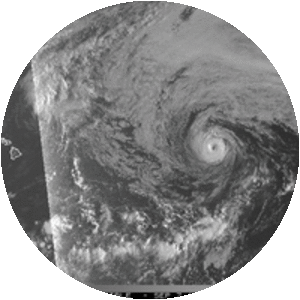Hurricane Olivia