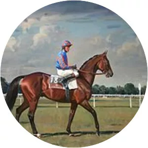 Hurricane Run - Horse