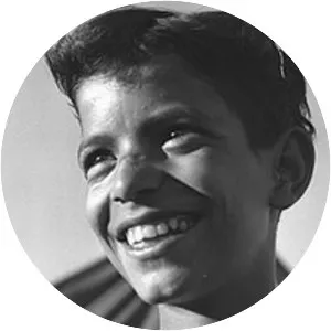 Hurum air disaster - Plane crash