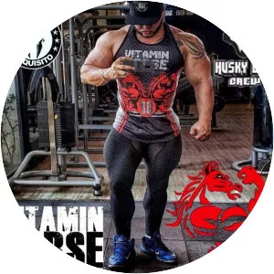 Husky Lion - Musical artist