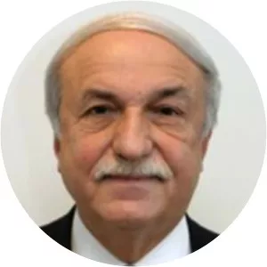 Hüsnü Özyeğin - Turkish businessman