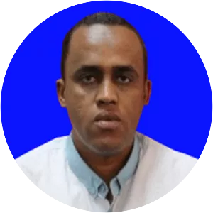 Hussein Mohamed Bashe