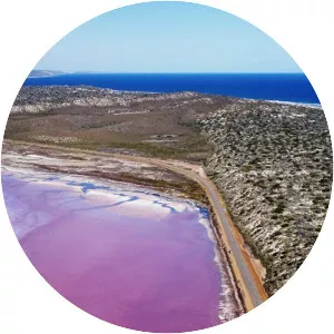 Hutt Lagoon - Salt lake in Australia