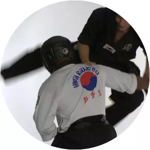 Hwa Rang Do - Martial art