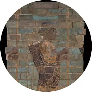 Hydarnes the Younger