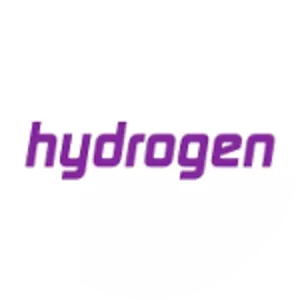 Hydrogen Group - Company