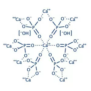 Hydroxyapatite - 