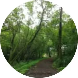 Hyland Lake - Lake in Minnesota