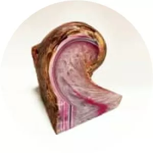 Hymn to Moisture - Album by Rrose