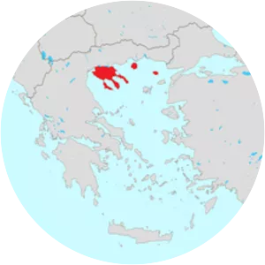 Hypericum athoum - Plants