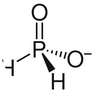 Hypophosphite - Chemical compound