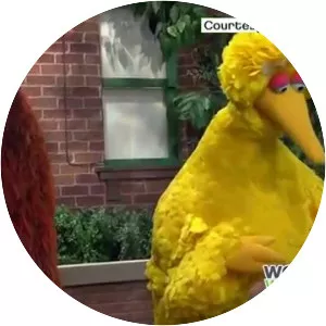 I Am Big Bird: The Caroll Spinney Story