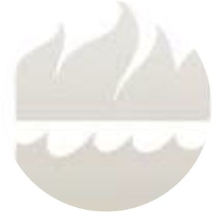 I. C. Springman - Writer