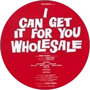 I Can Get It for You Wholesale