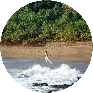 I Dream in Another Language