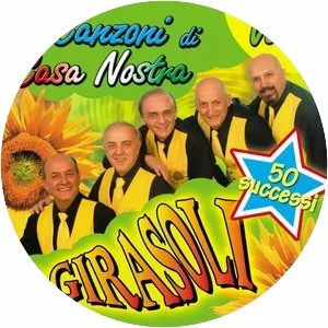 ciansunier i girasoli