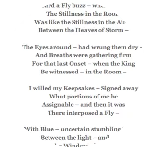 I heard a Fly buzz—when I died