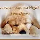 I Just Want to Say Good Night