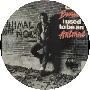 I Used to Be an Animal