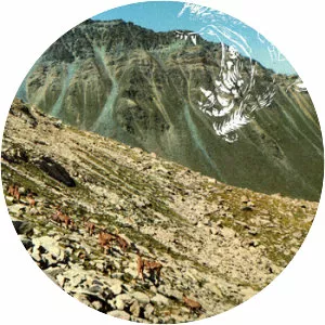 I Was a Cosmonaut Hero