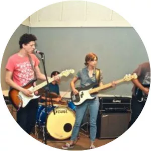 I Wish I Could Skateboard - Musical artist