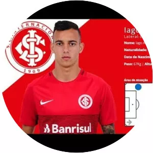 Iago Amaral Borduchi